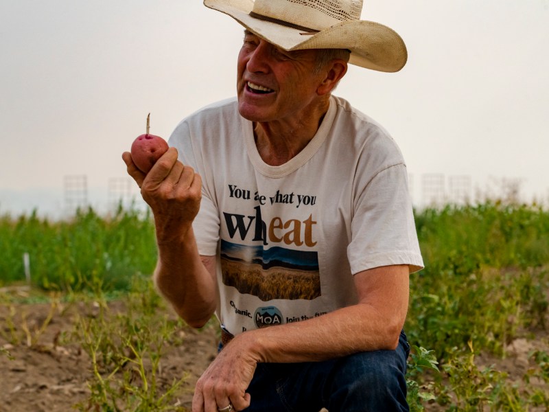 Bob Quinn farm Big Sandy Montana