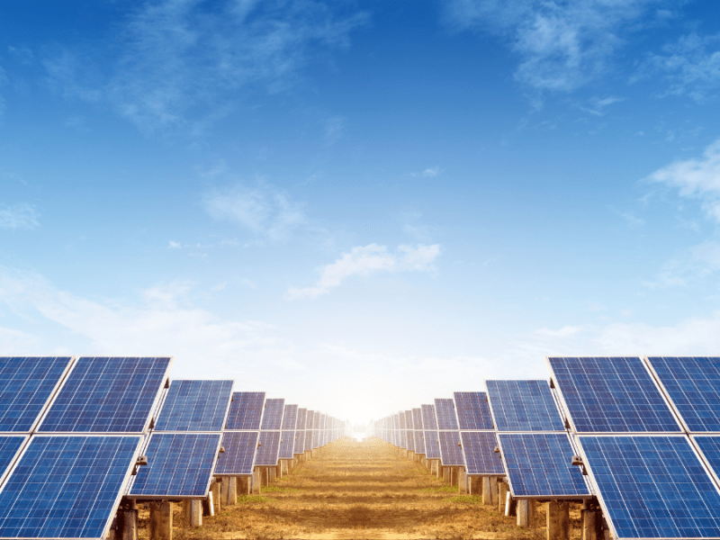 Gianforte vetoes community solar bill